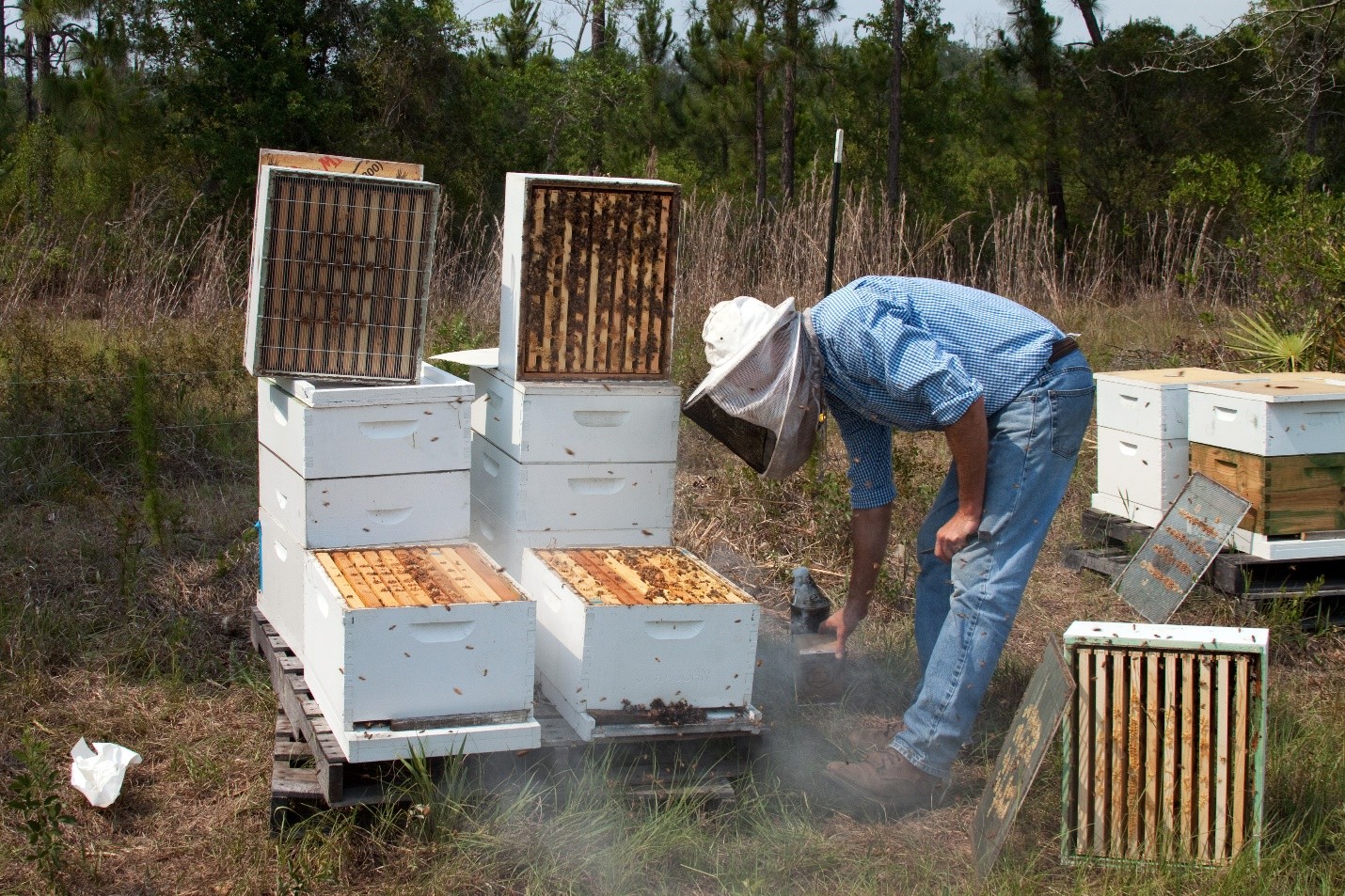 Orange grove hurricane damage