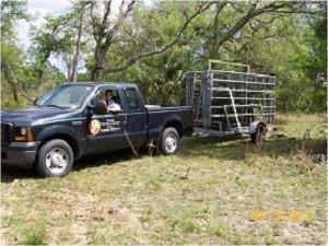 Livestock Panels